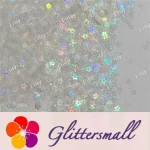 4mm Hollow Out Plum Flower Shaped Translucent Holographic Rainbow Glitter LB01100